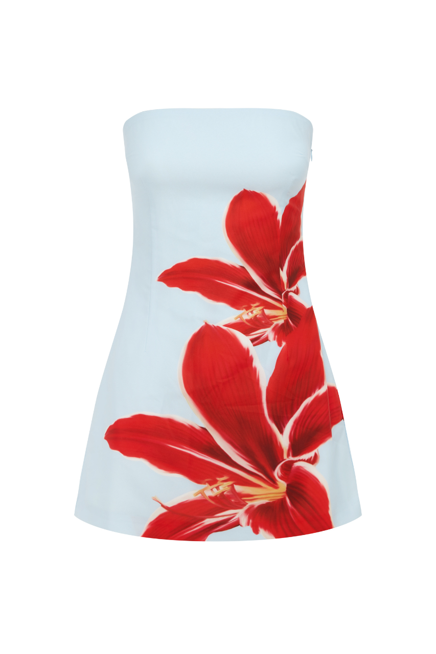 PRIMROSE MINI DRESS - RED LILY - 18_547438e6-1431-475e-9560-132449984ca5