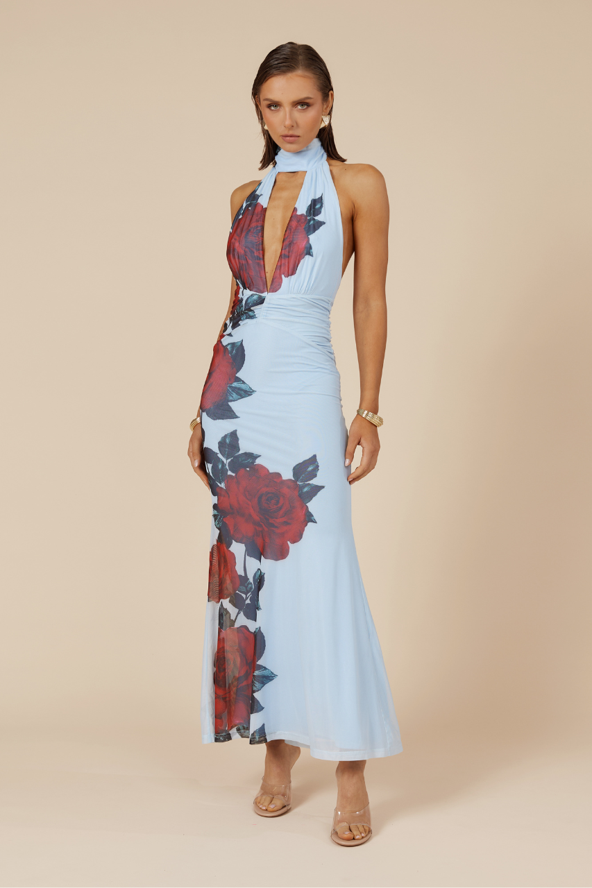 ANTONIE MAXI DRESS - RED ROSE - 7_07dae424-f216-4191-9b4c-d8ed0b897300
