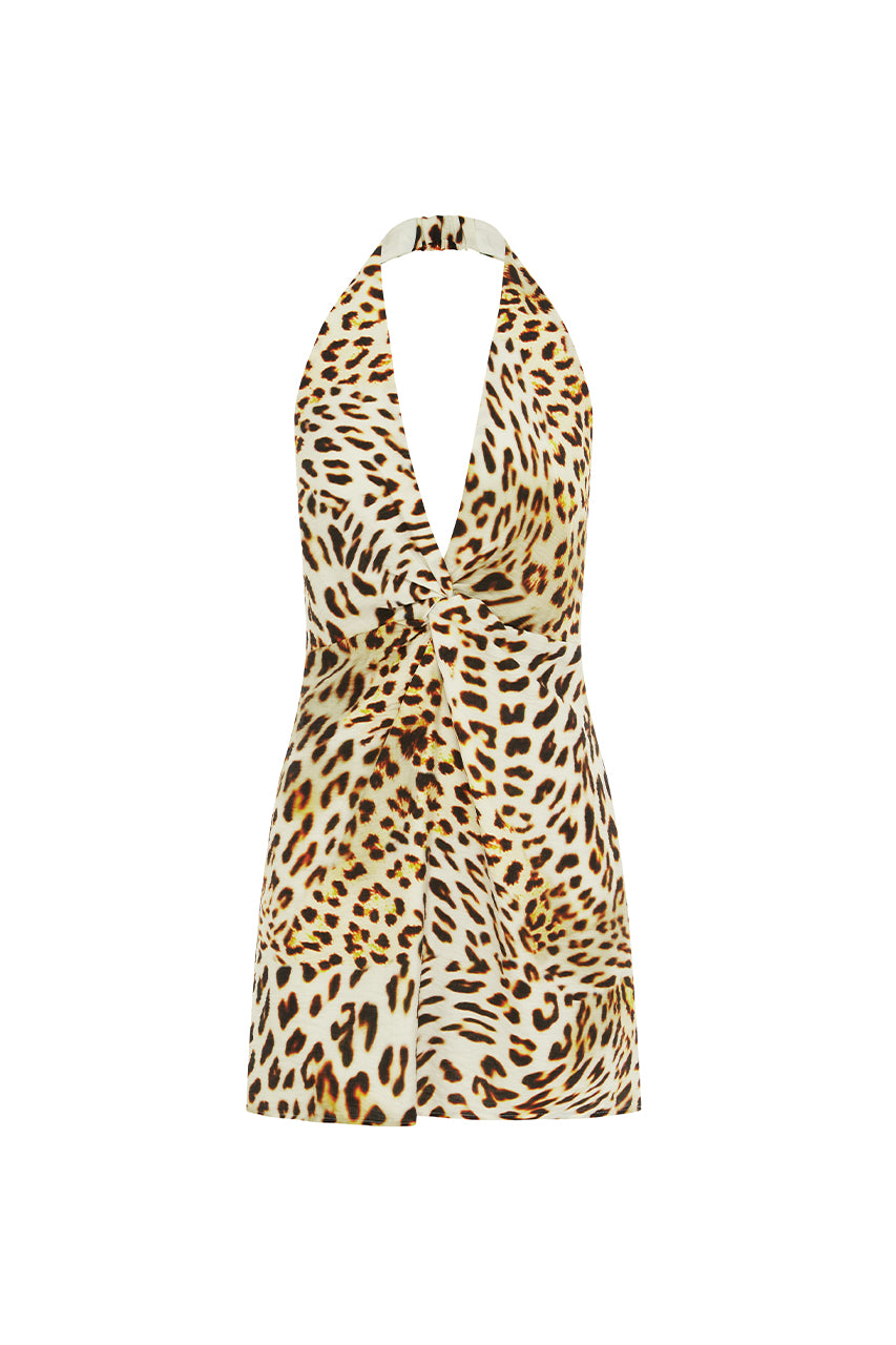 HOLLY MINI DRESS - TIKANI LEOPARD - HOLLY-MINI-DRESS-TIKANI-LEOPARD-_5