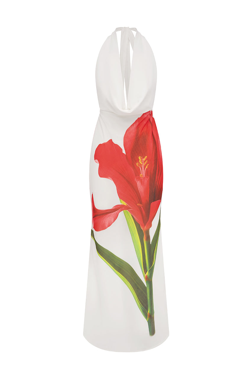 JASMINA MAXI DRESS - RED LILY - JASMINA-MAXI-DRESS-_1