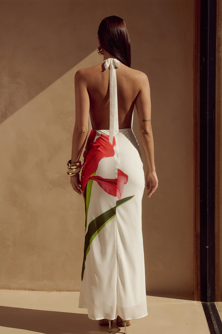 JASMINA MAXI DRESS - RED LILY - JASMINAMAXIDRESSREDLILY_4