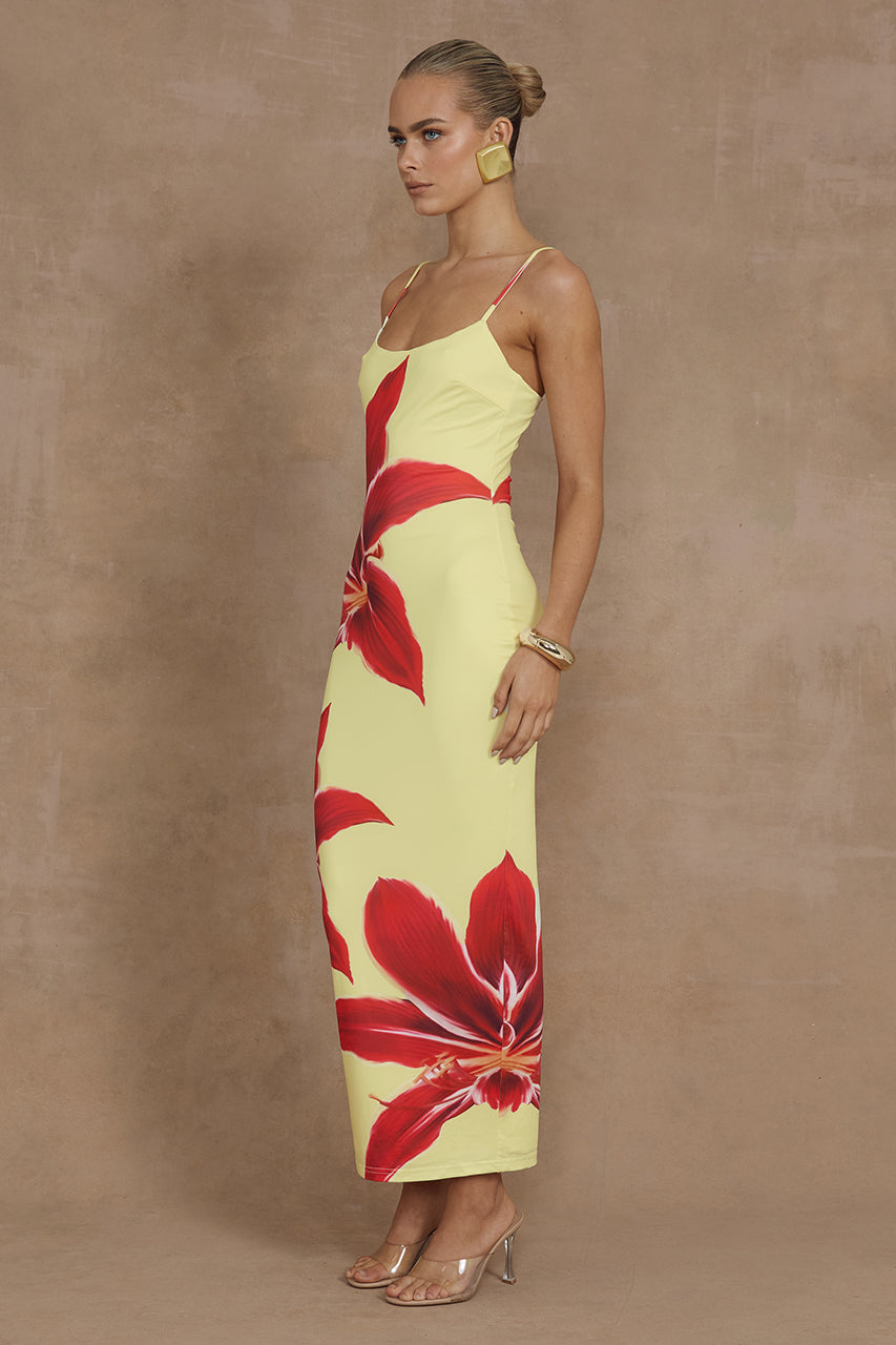 DEIA MIDI DRESS - YELLOW LILY - MADDY_POLLARD_RUNAWAY-89